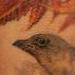 Tattoos - Mockingbird - 54068